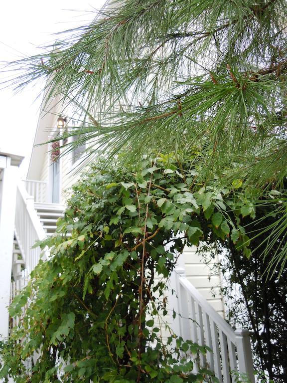 Carriage House Fredericksburg Exterior foto